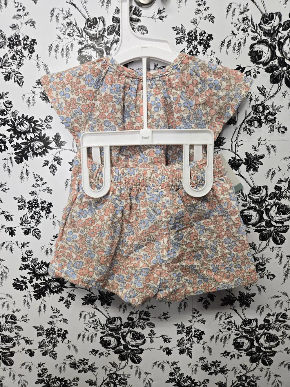 Little Planet By Carter's Peach & Blue Floral Button-Front 6mo Baby Set